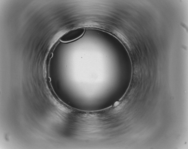 X0000099481082200805091604
