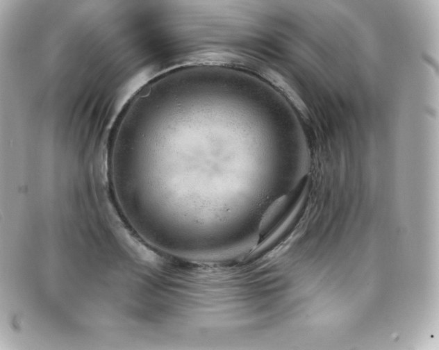X0000099481083200805091603