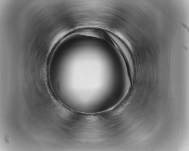 X0000099481085200805091603