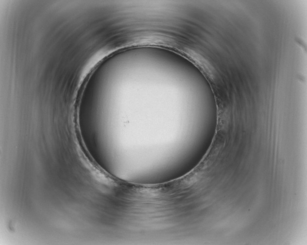 X0000099481086200805091603