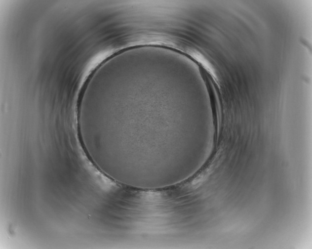 X0000099481088200805091603