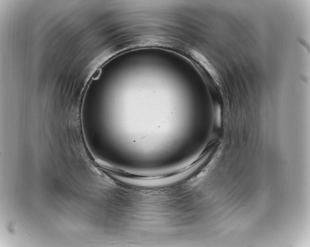 X0000099481089200805091603