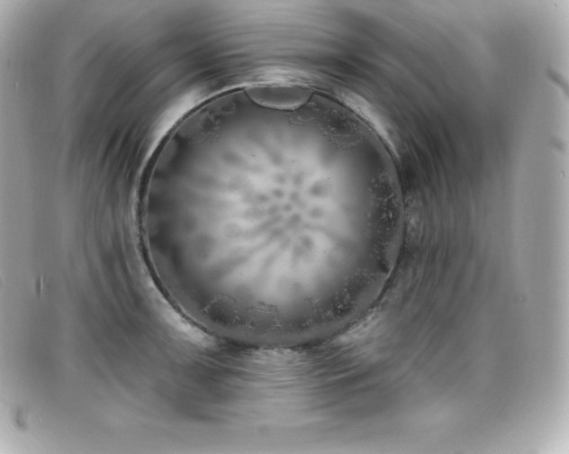 X0000099481091200805091603
