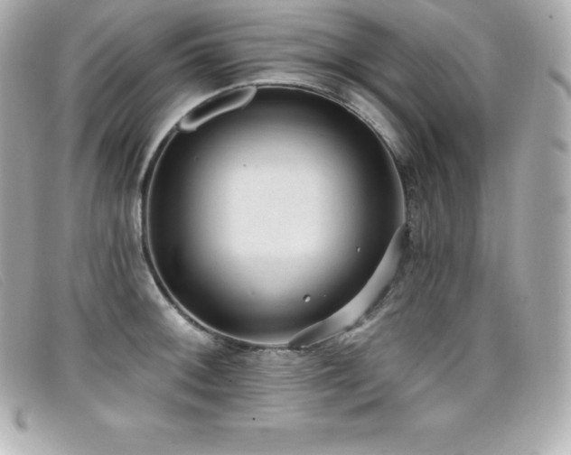 X0000099481092200805091603