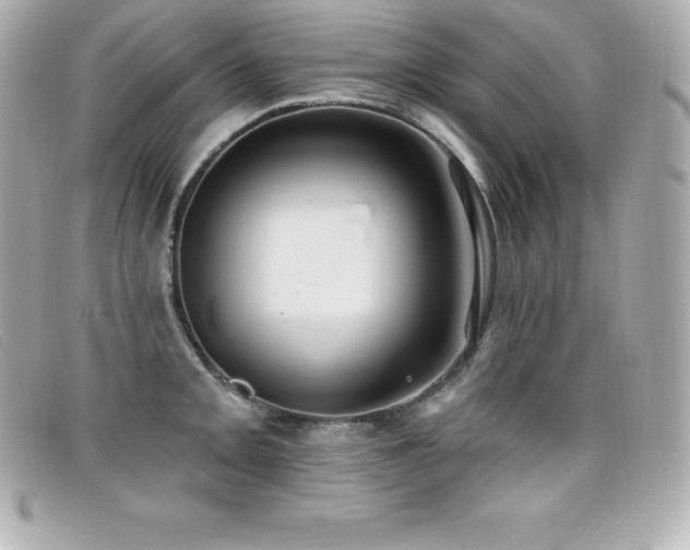 X0000099481093200805091603