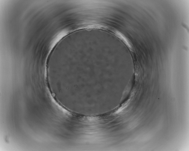 X0000099481095200805091603
