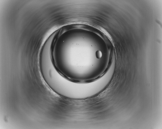 X0000099481096200805091603