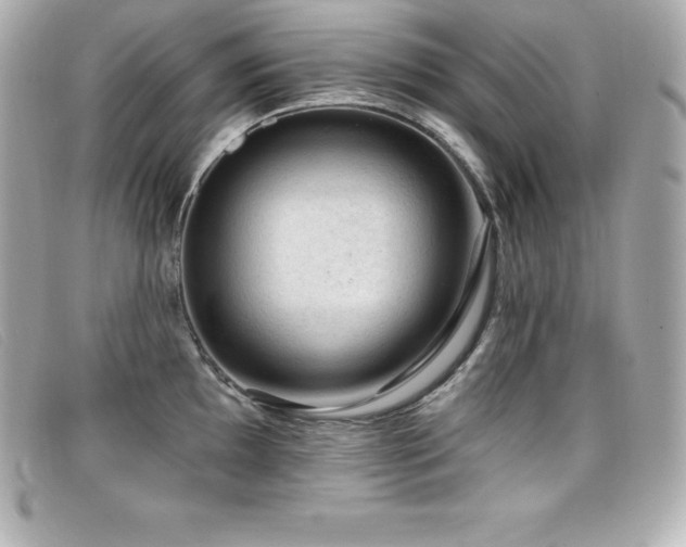X0000099481097200805091603