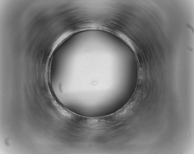 X0000099481098200805091603