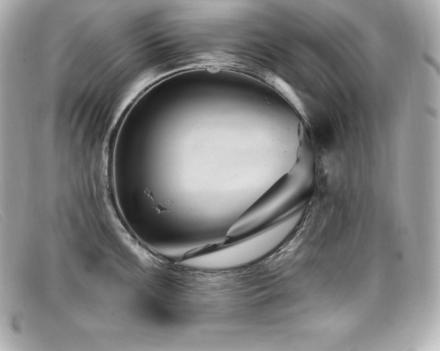 X0000099481099200805091603