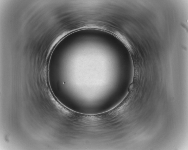 X0000099481100200805091603
