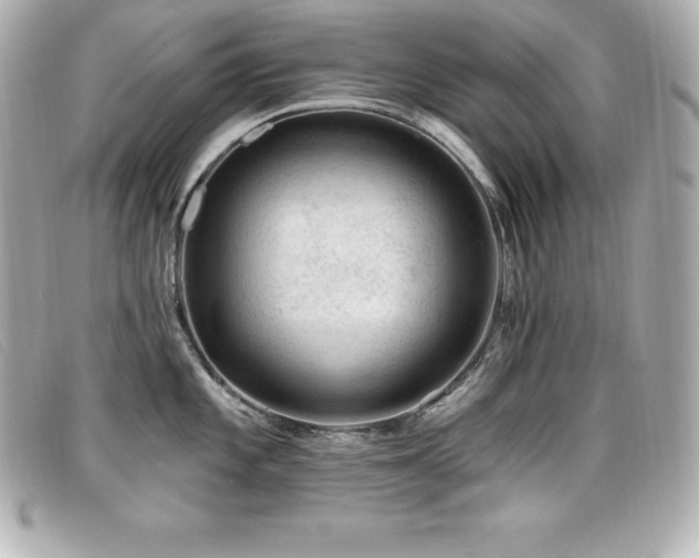 X0000099481101200805091603