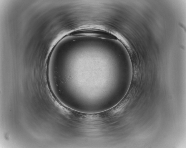 X0000099481102200805091603