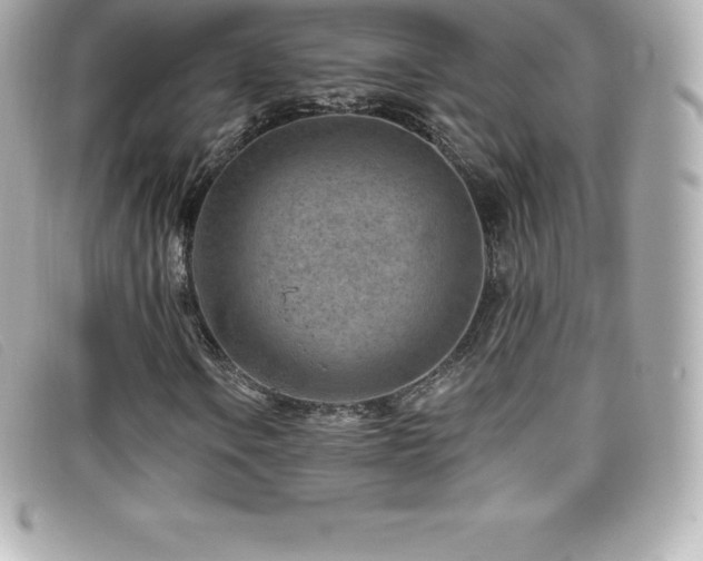 X0000099481106200805091602