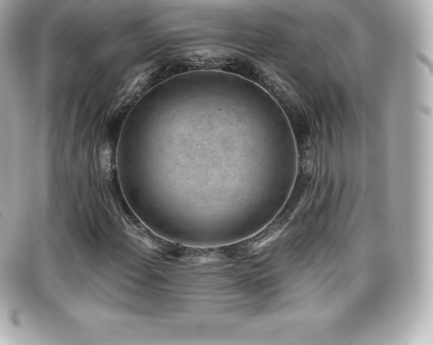 X0000099481108200805091602