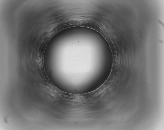 X0000099481109200805091602