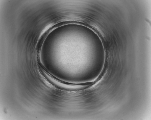 X0000099481114200805091603