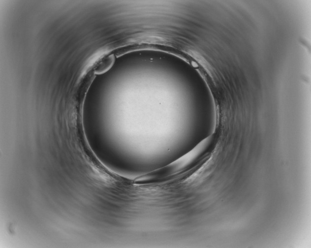 X0000099481115200805091603