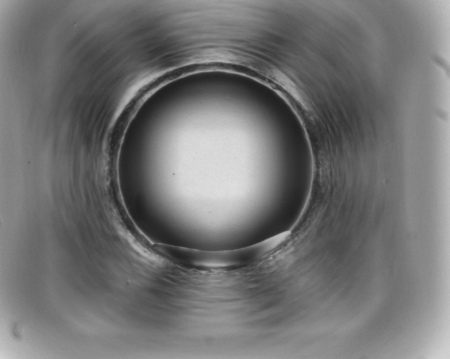 X0000099481116200805091603