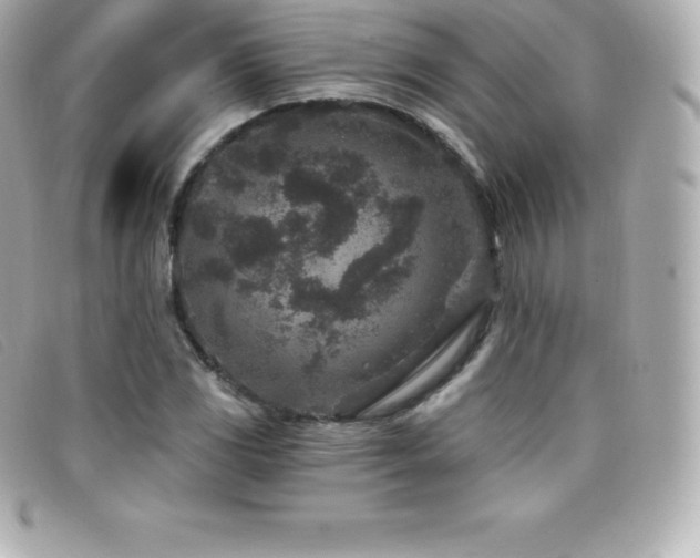 X0000099481117200805091603