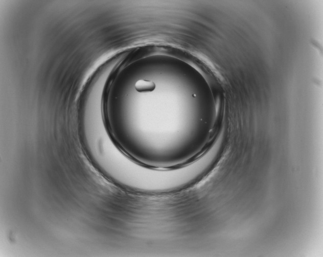 X0000099481118200805091603