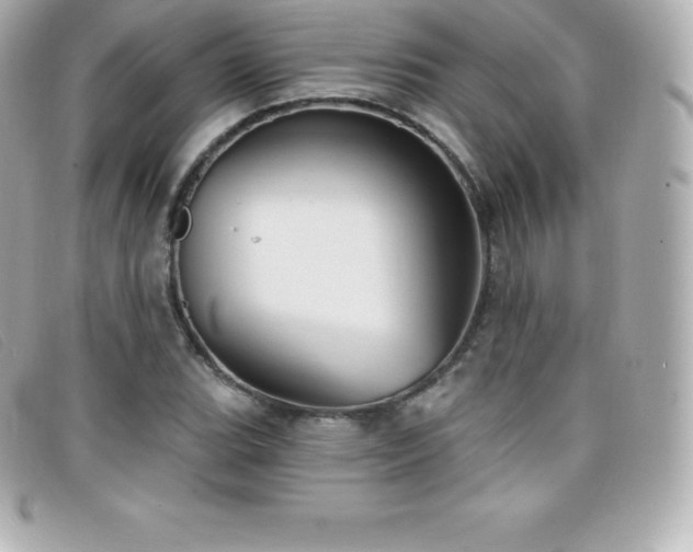 X0000099481119200805091603