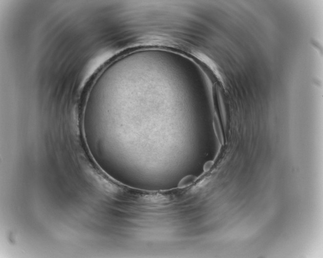 X0000099481120200805091603