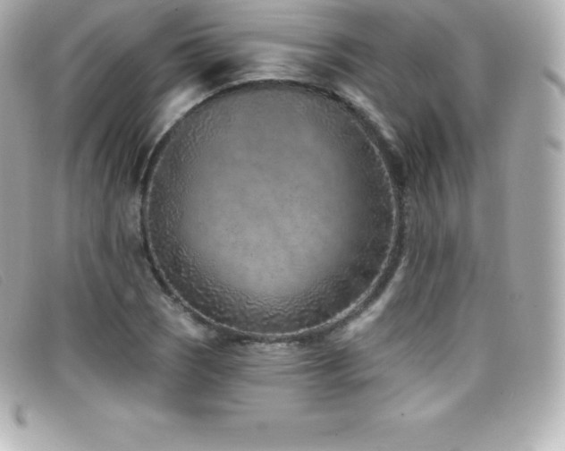 X0000099481121200805091603