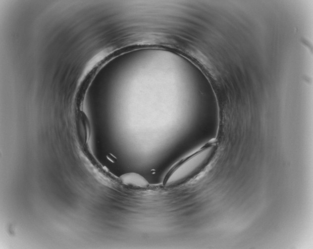 X0000099481122200805091603