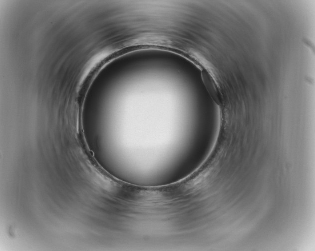 X0000099481123200805091603