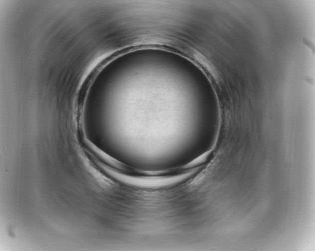 X0000099481124200805091603