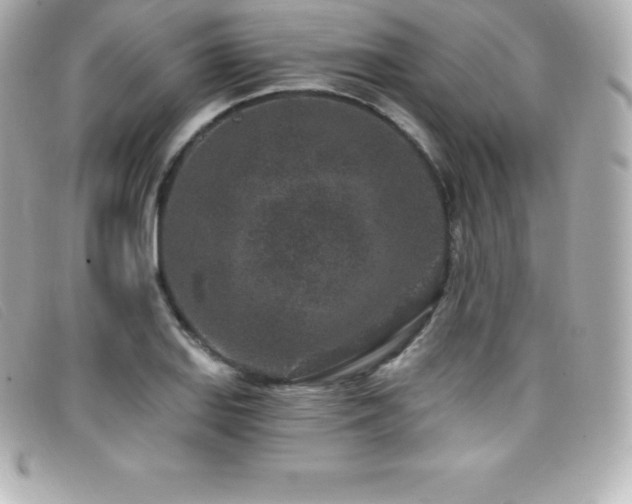 X0000099481127200805091603