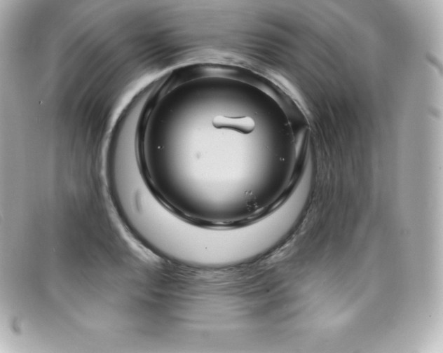 X0000099481128200805091603