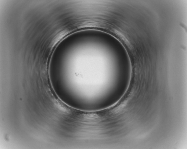 X0000099481129200805091603