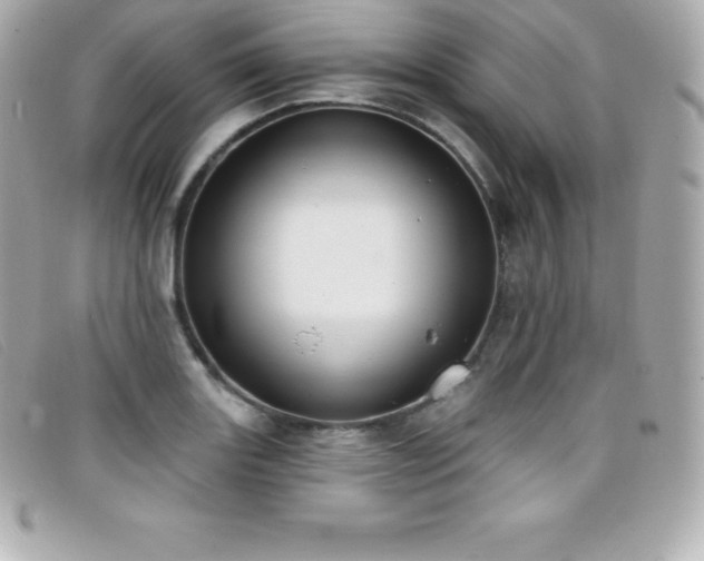 X0000099481131200805091603