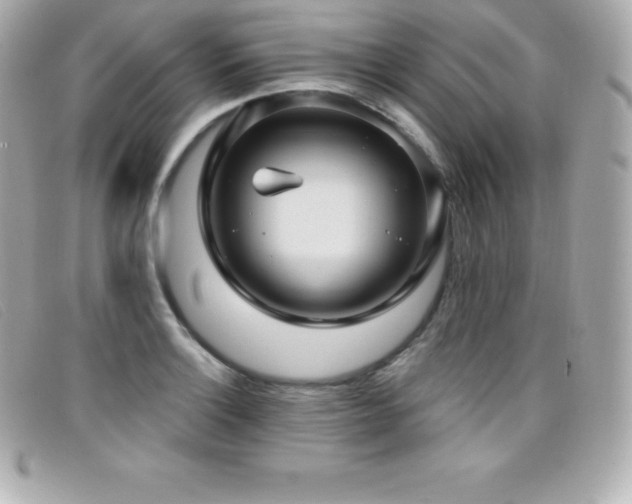 X0000099481132200805091603