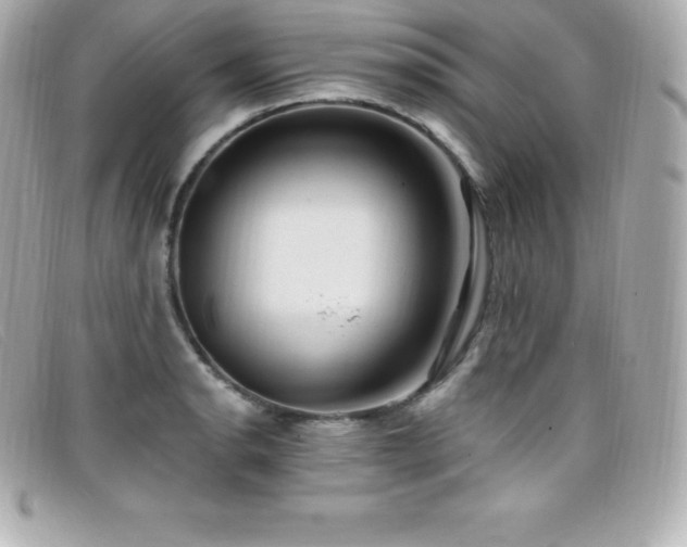 X0000099481134200805091603