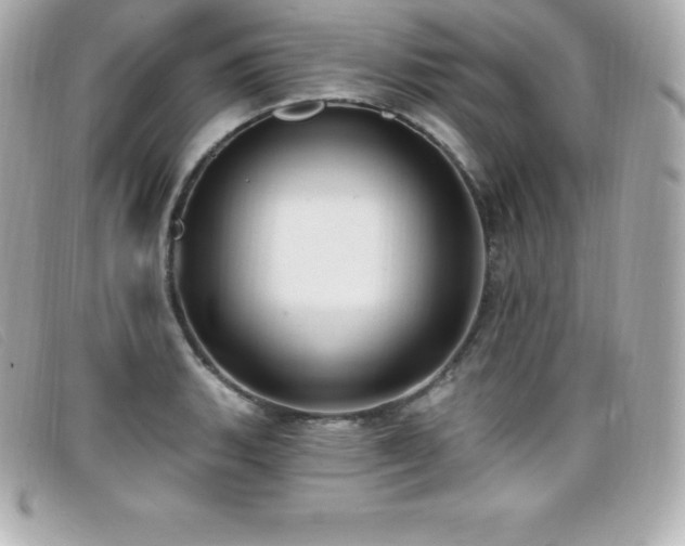 X0000099481135200805091603