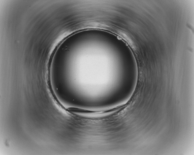 X0000099481136200805091603