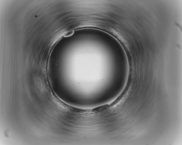 X0000099481137200805091603
