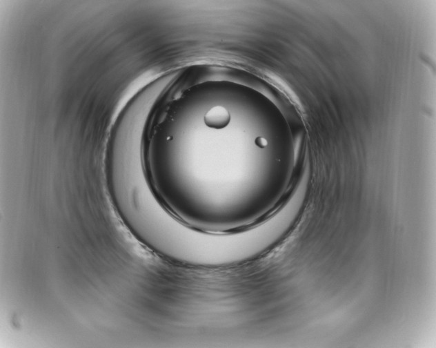 X0000099481138200805091603