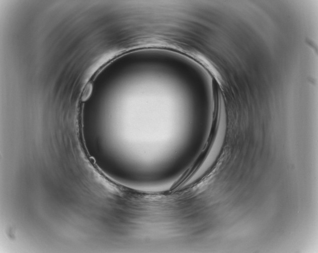 X0000099481142200805091603