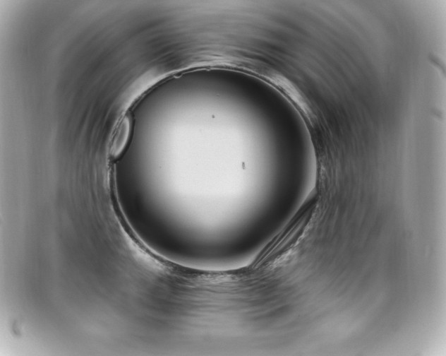 X0000099481143200805091603