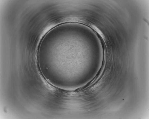 X0000099481144200805091603