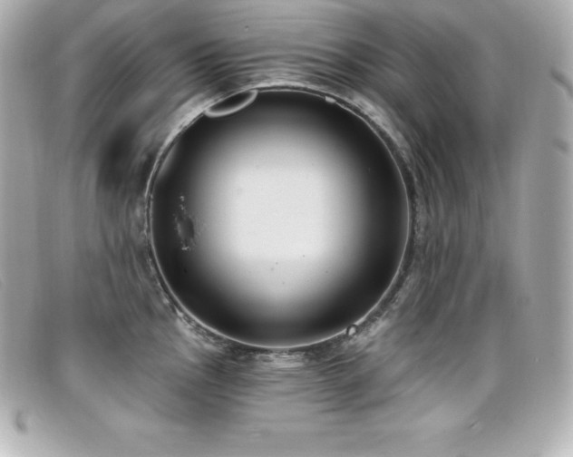 X0000099481145200805091603