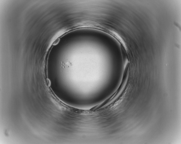 X0000099481146200805091603