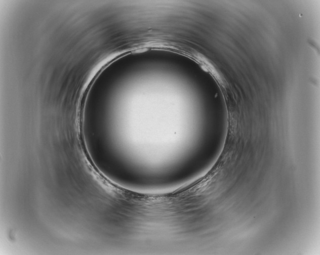 X0000099481148200805091603