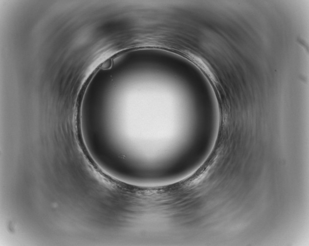 X0000099481149200805091603