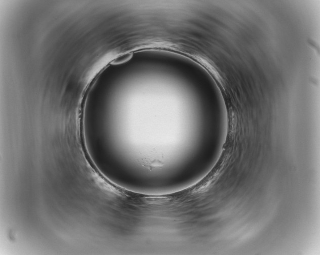 X0000099481151200805091603
