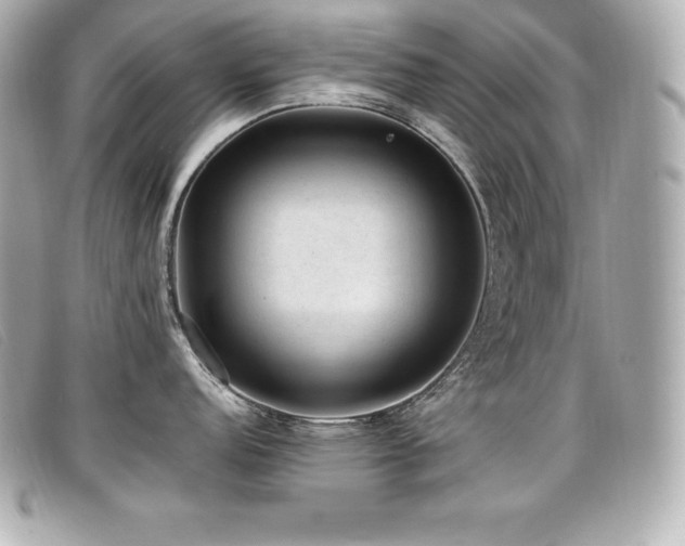 X0000099481152200805091603